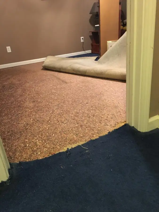 Carpet pad removal revealing water damage during Water Mitigation Services in Kelso