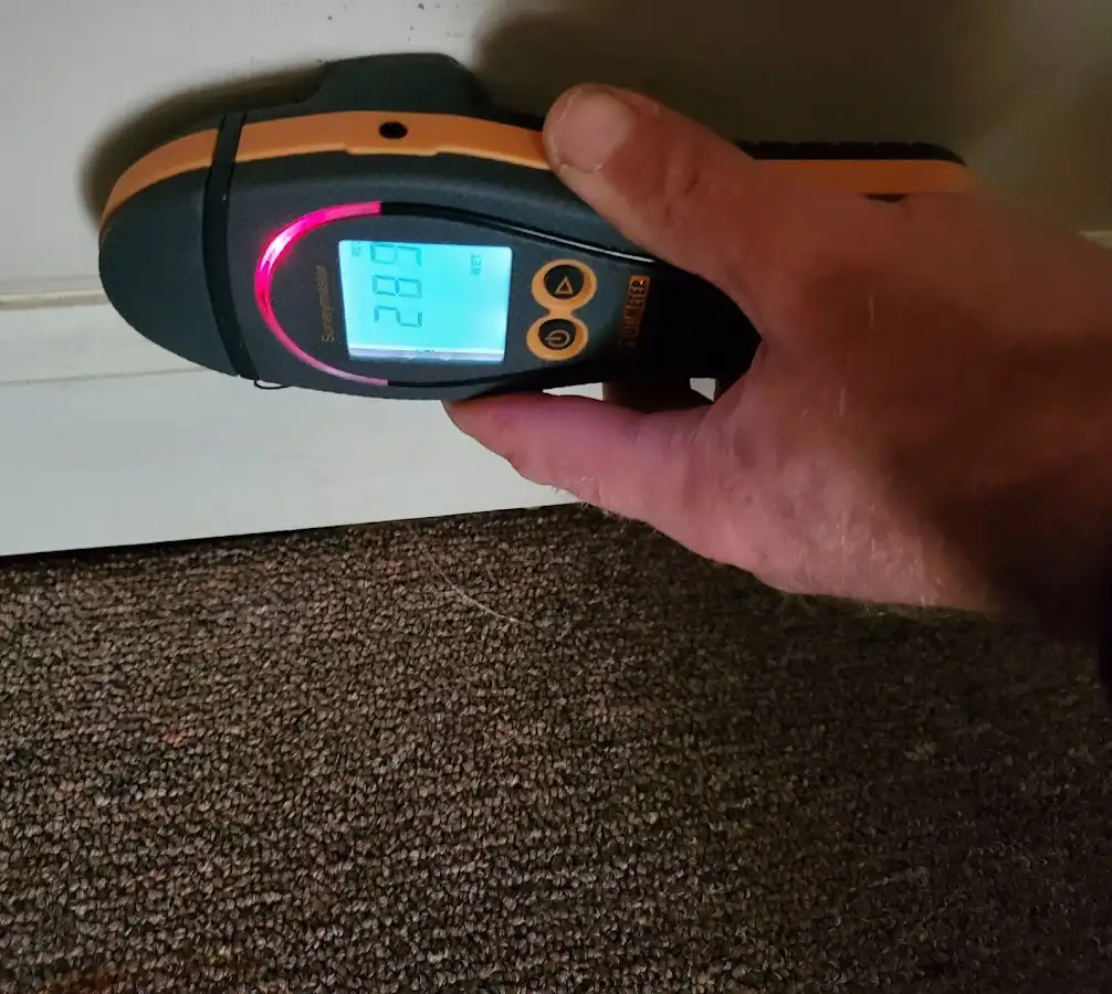 Moisture detection at baseboard during Sewage Cleanup & Sanitation in Kelso